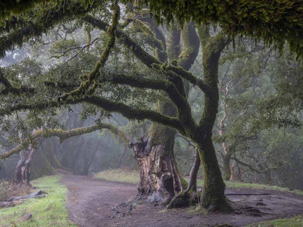 Together is the theme of The Main Gallery exhibit through September 8