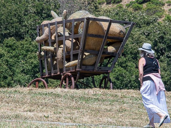 Registration open for free Fall hikes at Djerassi Resident Artists Program