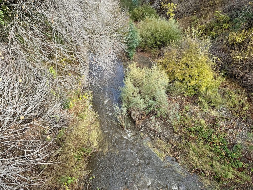 Spotted: Flowing San Francisquito Creek