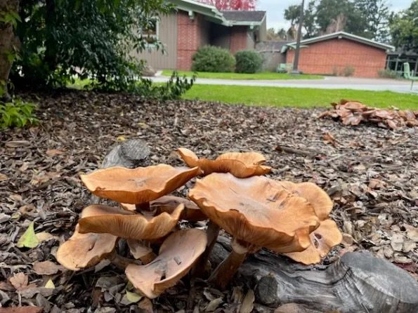 The last 24 hours featured lots of rain