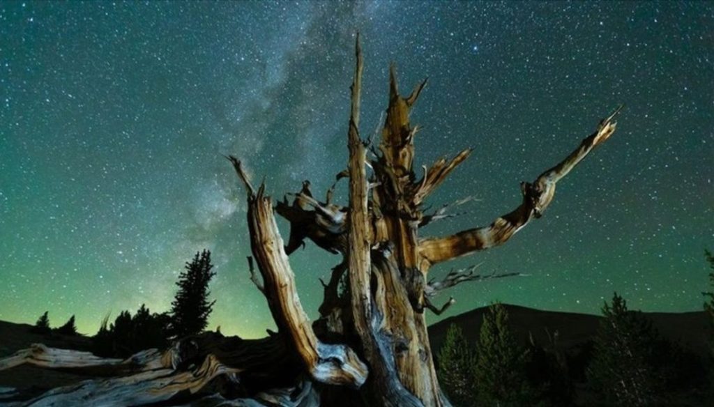 Watch documentary film Planet California on January 28