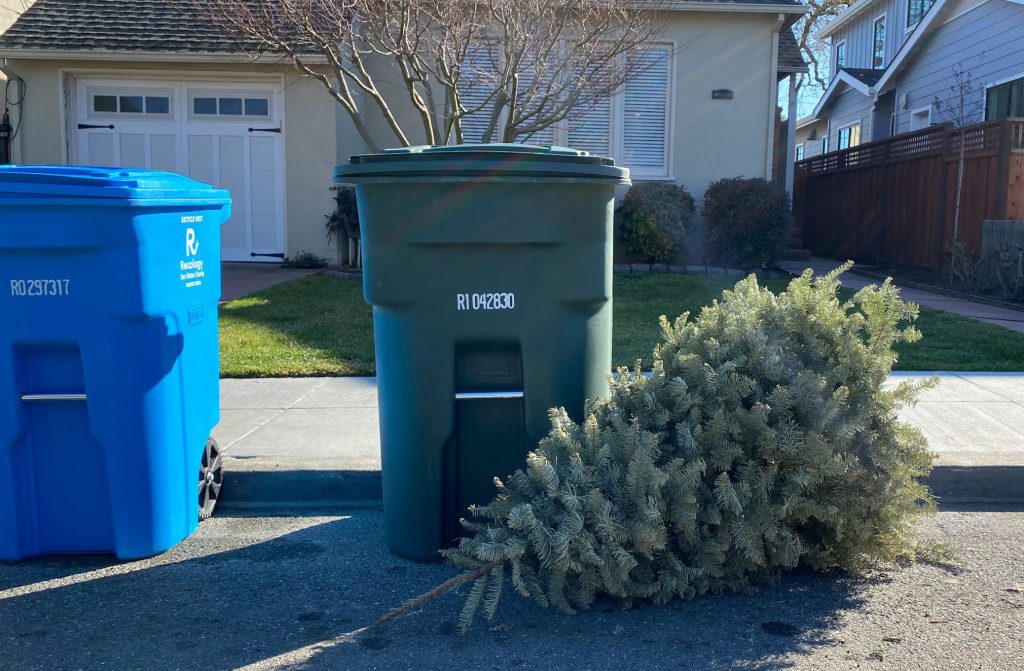 Christmas tree pick up for Recology customers is underway