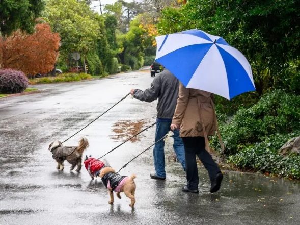 Rain sputters more than pours in Menlo Park on Friday