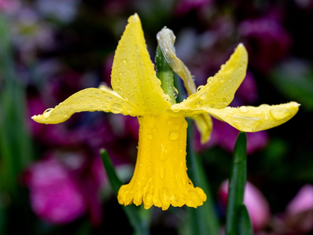 Just a bit of rain overnight — big storm still to come