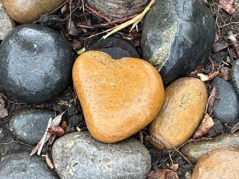 Spotted: Nature’s Valentine