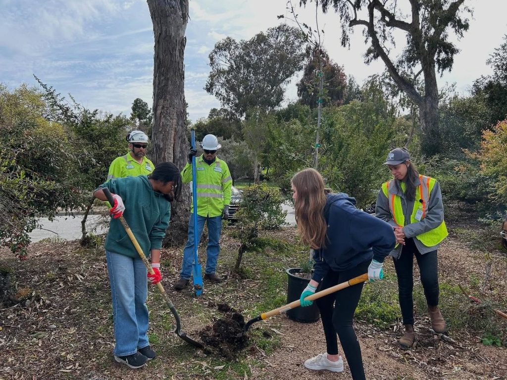 Spotted: Girl Scouts helping the city of Menlo Park plant trees