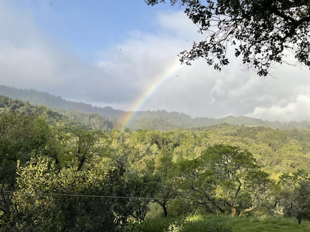 Spotted: Rainbow over Portola Valley