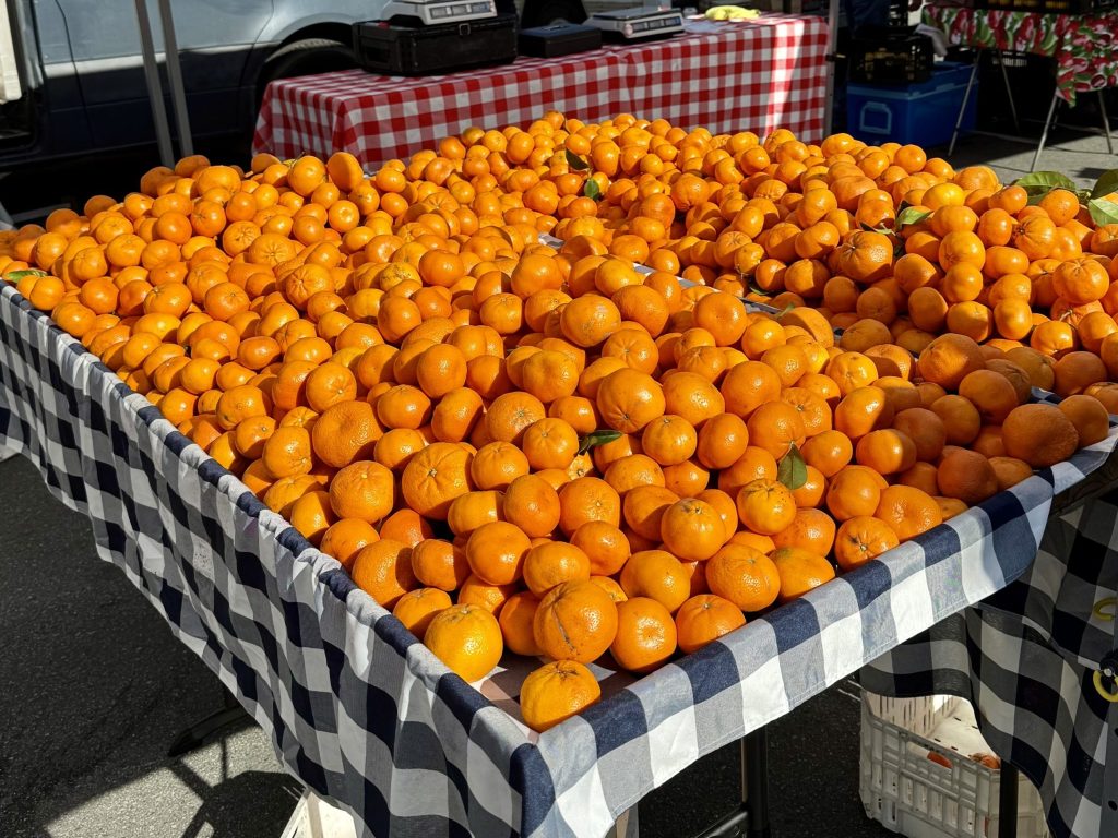 Spotted: Tangerines glowing in the sun at Farmers Market