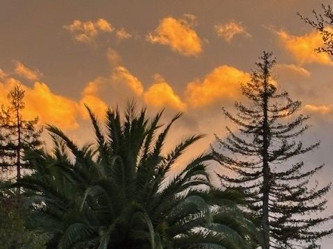 Overnight rain leads to blue sky in the morning