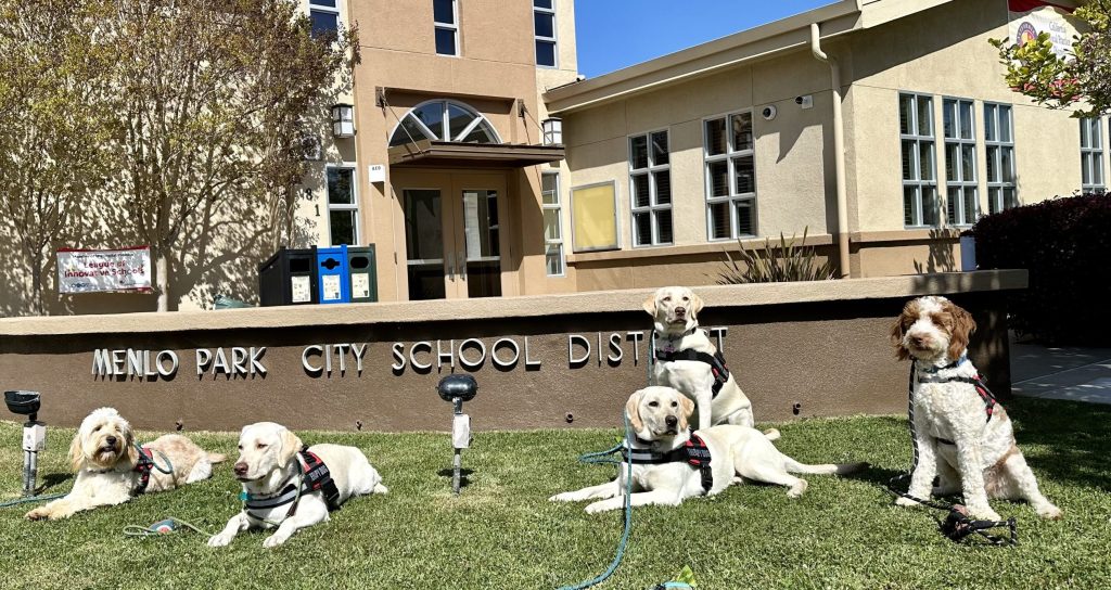 MPCSD wins Kent Award for PAWZitivity Facility Dog Program