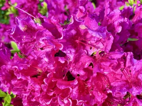 Blue sky and rain take turns again in Menlo Park