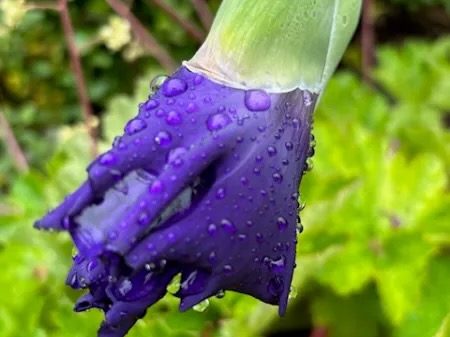 Steady drizzle and a couple of downpours add to rainfall total