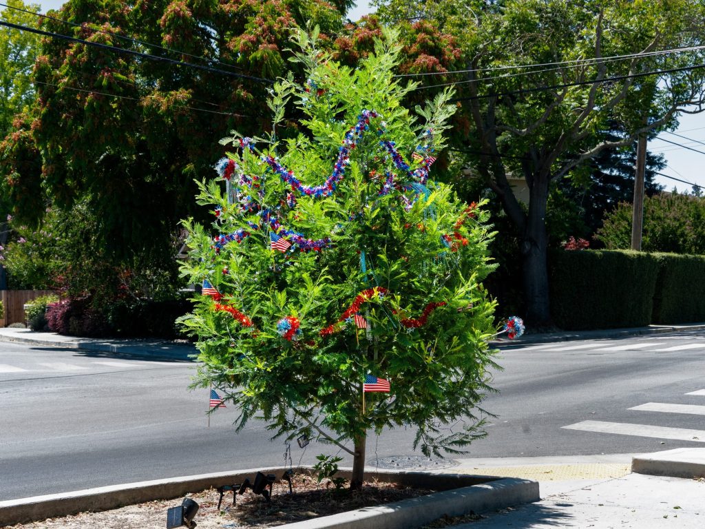 Spotted: Tree all decked out for 4th of July