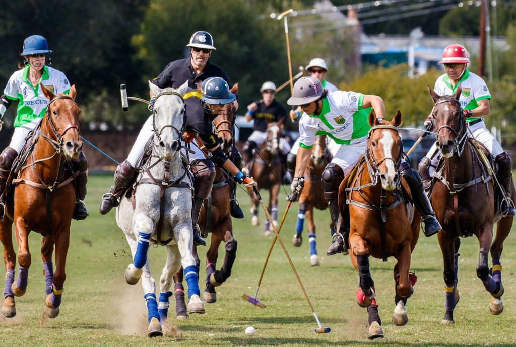 Polo for Lyme 2025 promises thrilling equestrian competition