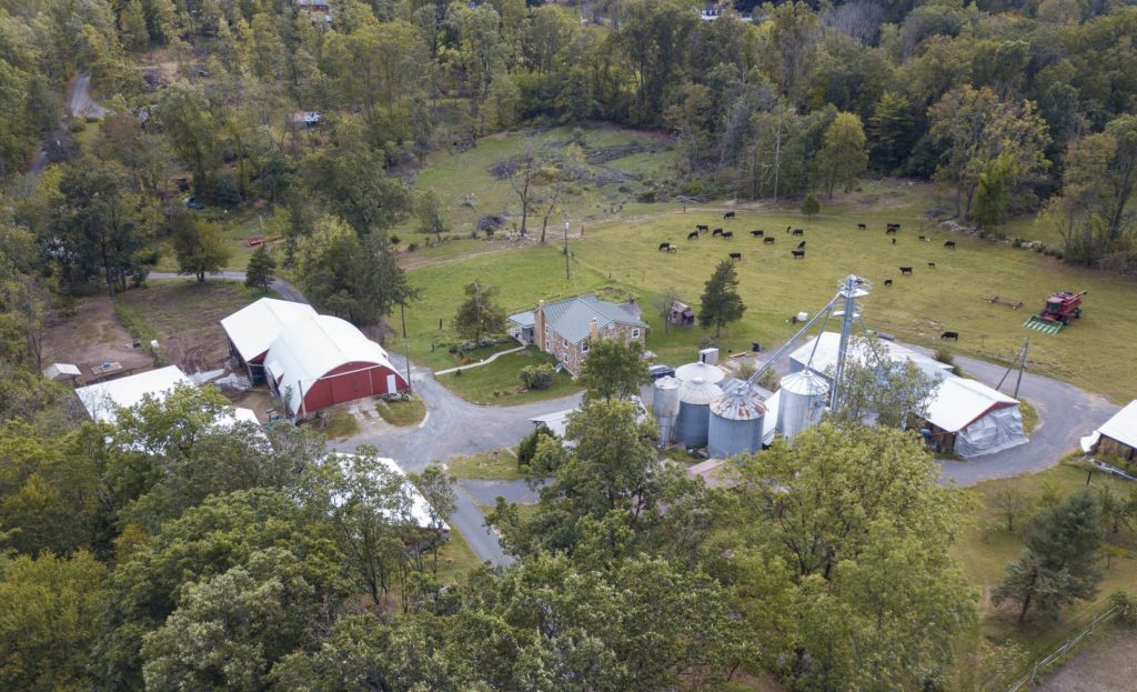 Brenda Melton is new Executive Director of Jasper Ridge Farm
