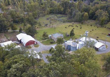 Brenda Melton is new Executive Director of Jasper Ridge Farm