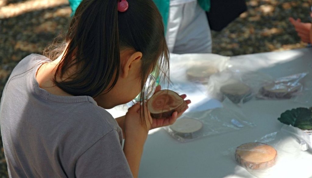 Kids invited to attend the Peanuts Naturally Science Festival on August 12
