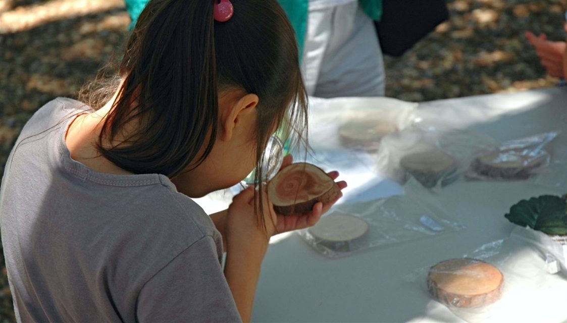 Kids invited to attend the Peanuts Naturally Science Festival on August ...