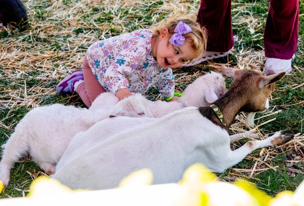 Spotted: Kids having fun at St. Raymond Pumpkin Festival