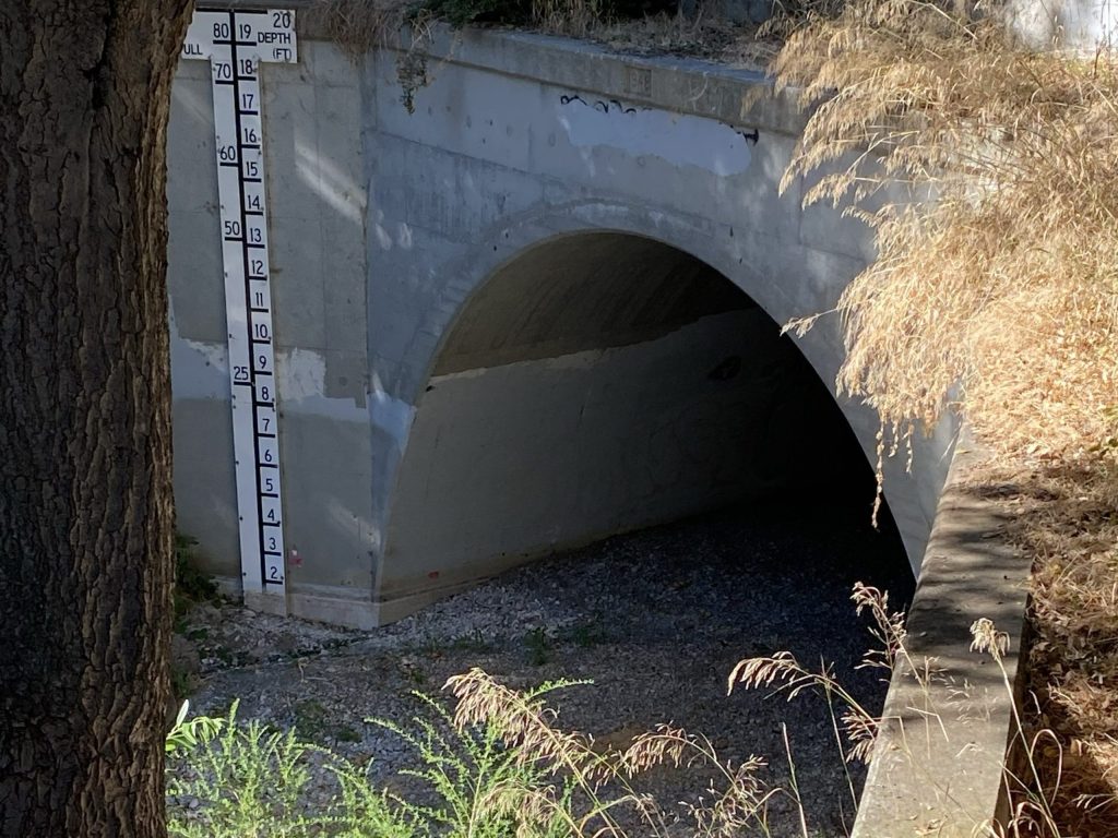 Ideas about how San Francisquito Creek can be prevented from over-flowing