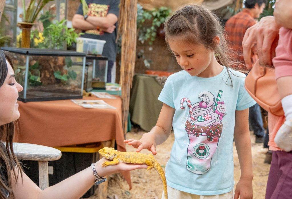 Youngsters enjoy themselves at Webb Ranch Pumpkin Patch