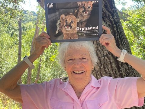 New book about the orphaned Portola Valley lion cubs is topic on September 28