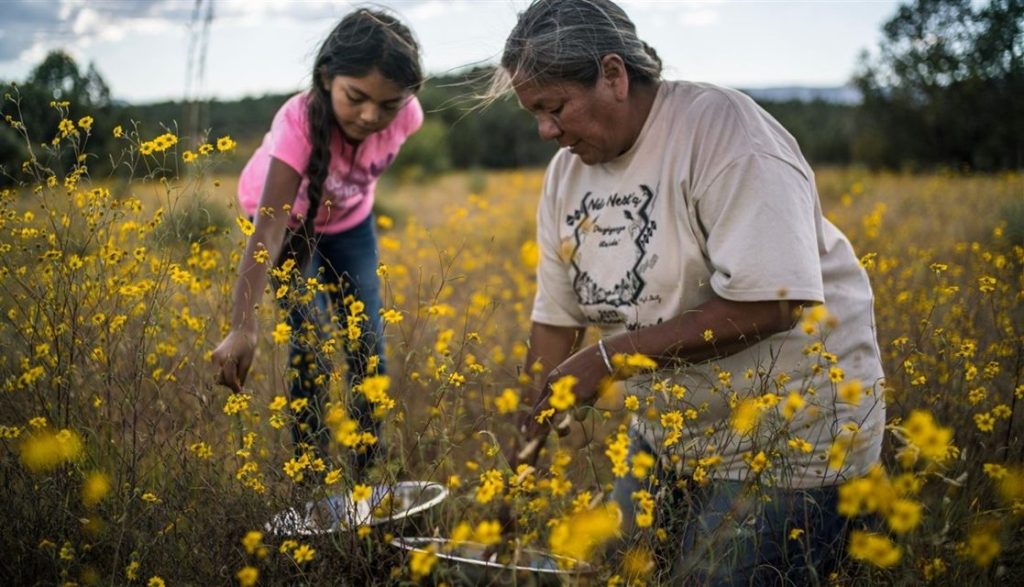 Free screening of the documentary “Gather” on October 13
