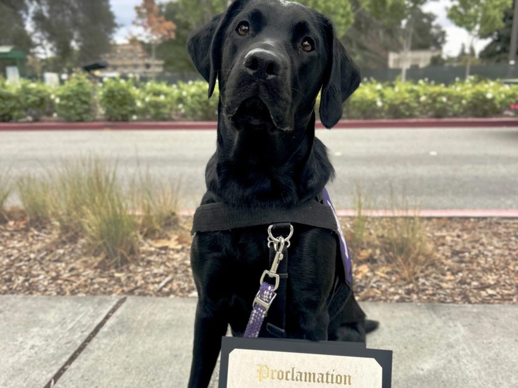 Paws for Purple Hearts recognized by Menlo Park City Council