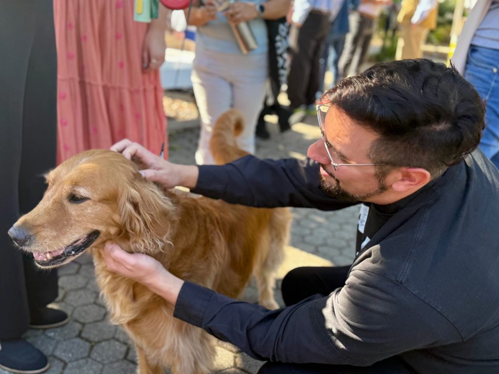 Spotted: Dogs taking part in St. Francis Day at Trinity Church