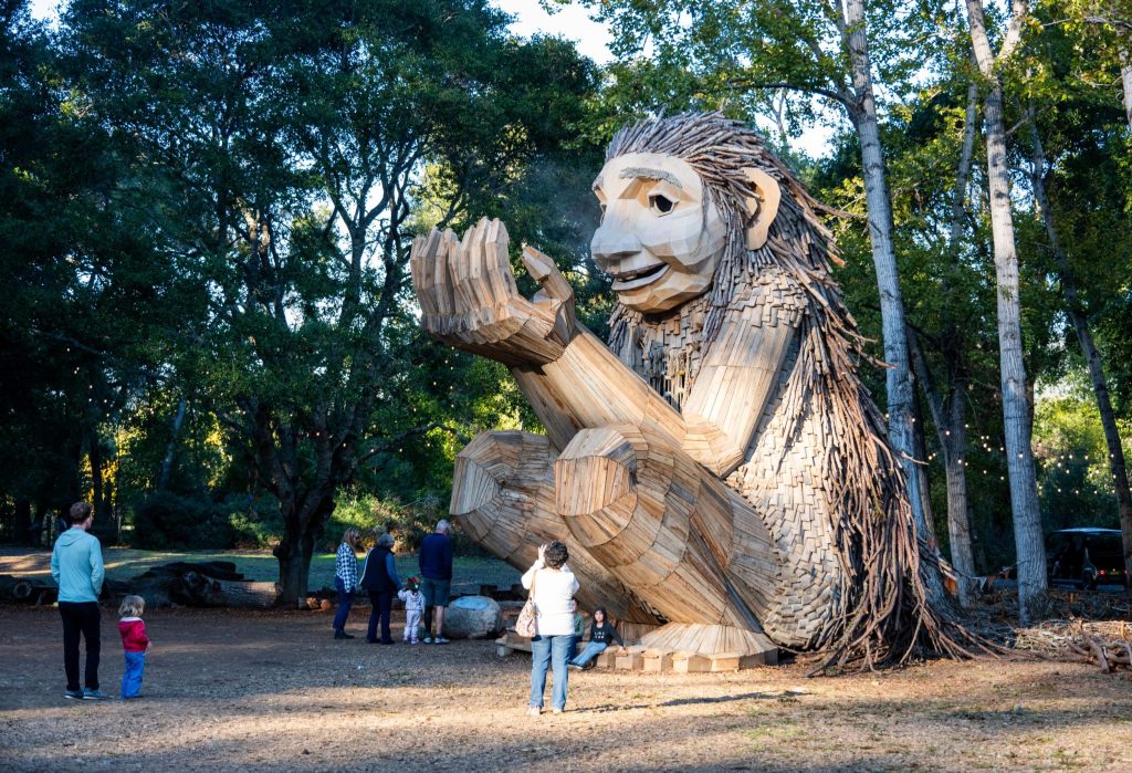 Meet Rose Wonders and other new objects at Filoli this holiday season