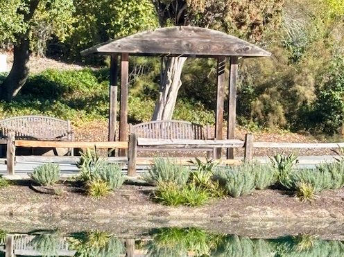 Spotted: Pretty reflection at the pond in Sharon Park