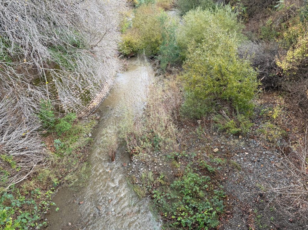 Teeny tiny bit of rain today in Menlo Park
