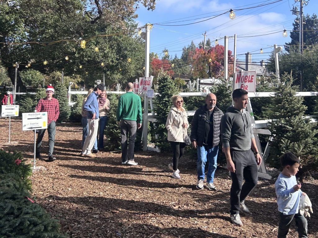 Nativity School tree lot is now open in Menlo Park