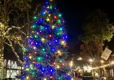 Spotted: New holiday tree near Bistro Vida