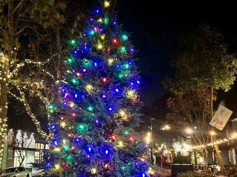 Spotted: New holiday tree near Bistro Vida