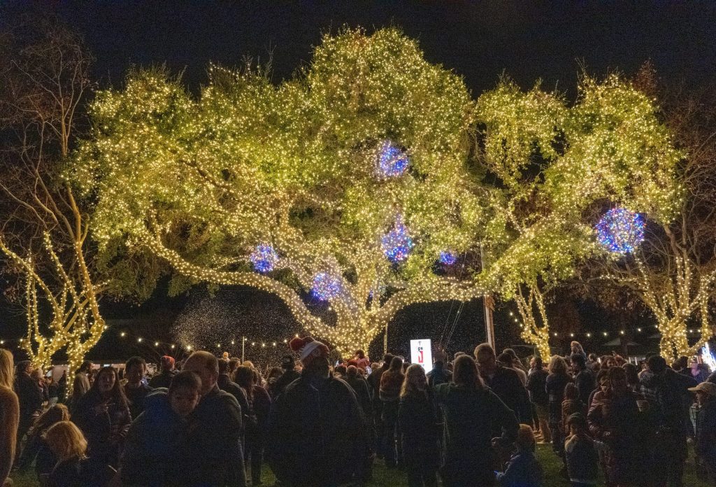 Tree lighting in Fremont Park on December 5