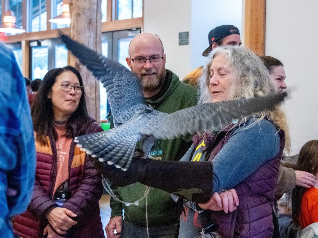 Scenes from Sunday’s Portola Valley Wildlife Day