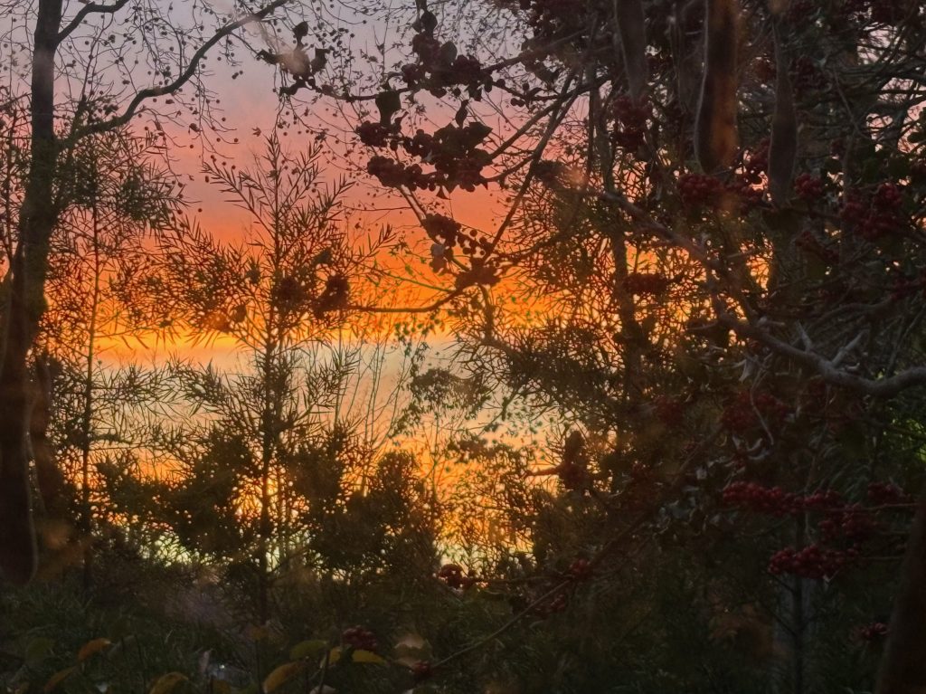 Spotted: Another pretty Menlo Park sunrise — and sunset