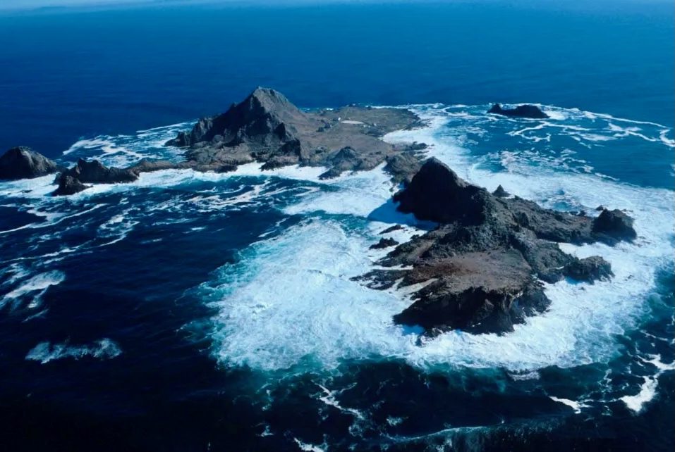 Ever hear about the San Francisco Egg Wars?