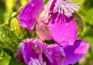 Rain and sun take turns today in Menlo Park