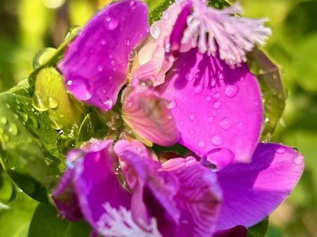 Rain and sun take turns today in Menlo Park