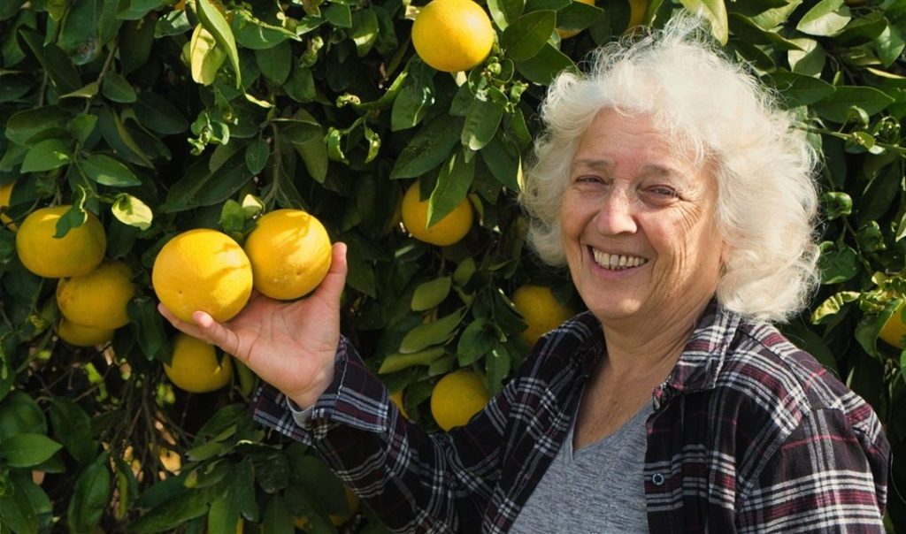 “Selecting fruit trees” is Garden Talk on February 4