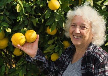 “Selecting fruit trees” is Garden Talk on February 4