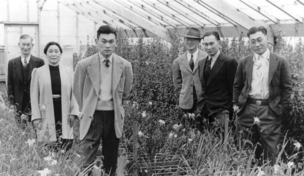 “Am I An American or Am I Not?” exhibit on view at Menlo Park Library