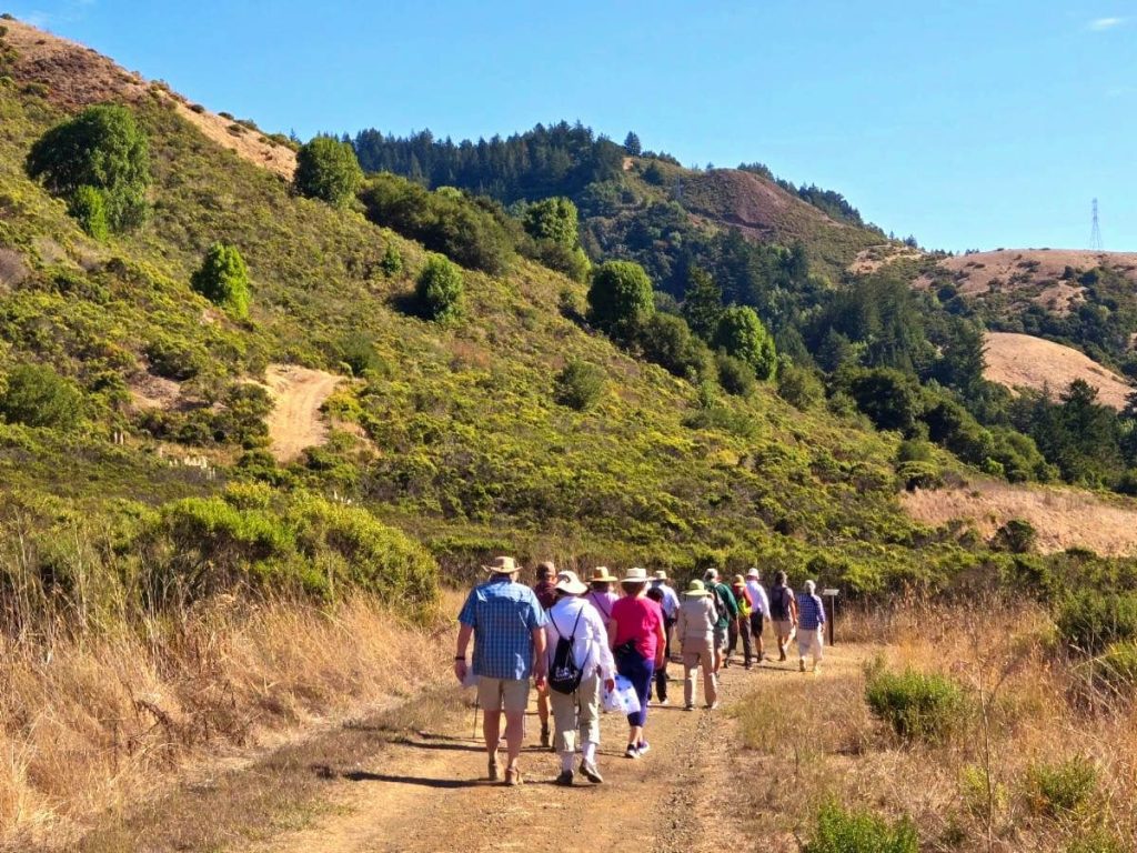 Djerassi Resident Artists Program introduces new Executive Director — and highlights spring programming