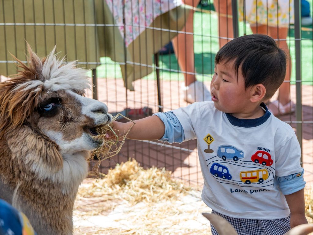 Springline hosts “Hop into Spring” event on March 29