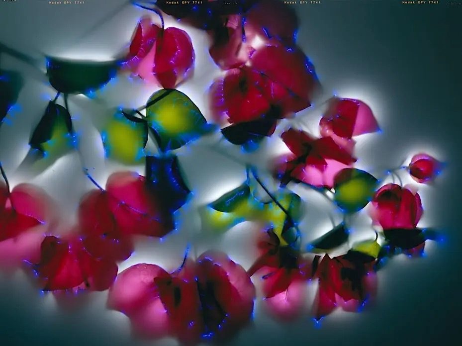 Robert Buelteman talks about his non-digital cameraless photographs on April 16