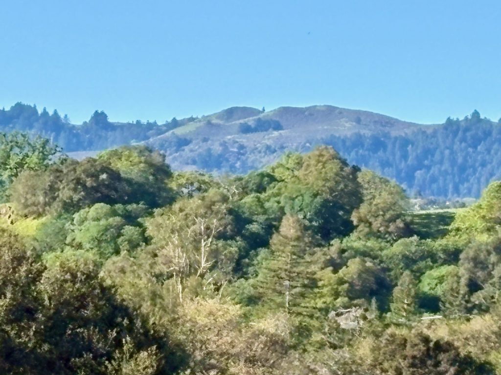 Spotted: Blue skies over Windy Hill