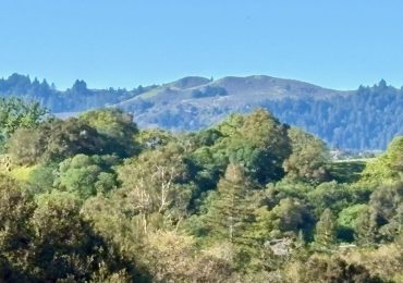 Spotted: Blue skies over Windy Hill