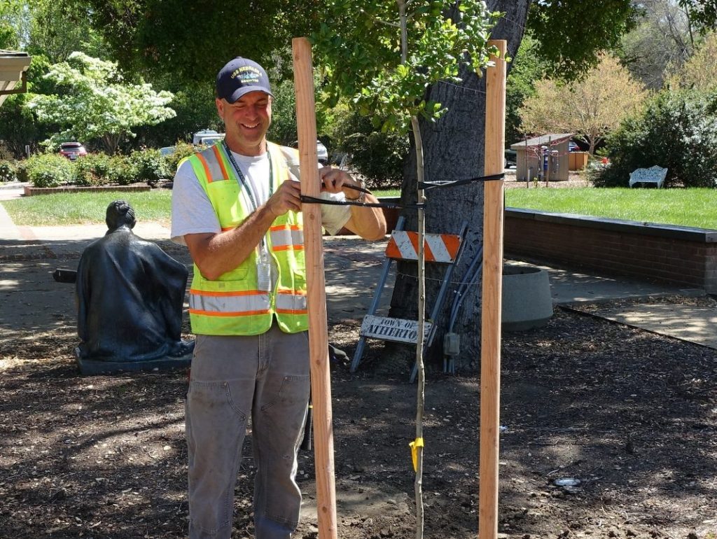 Participate in Atherton Arbor Day on April 18